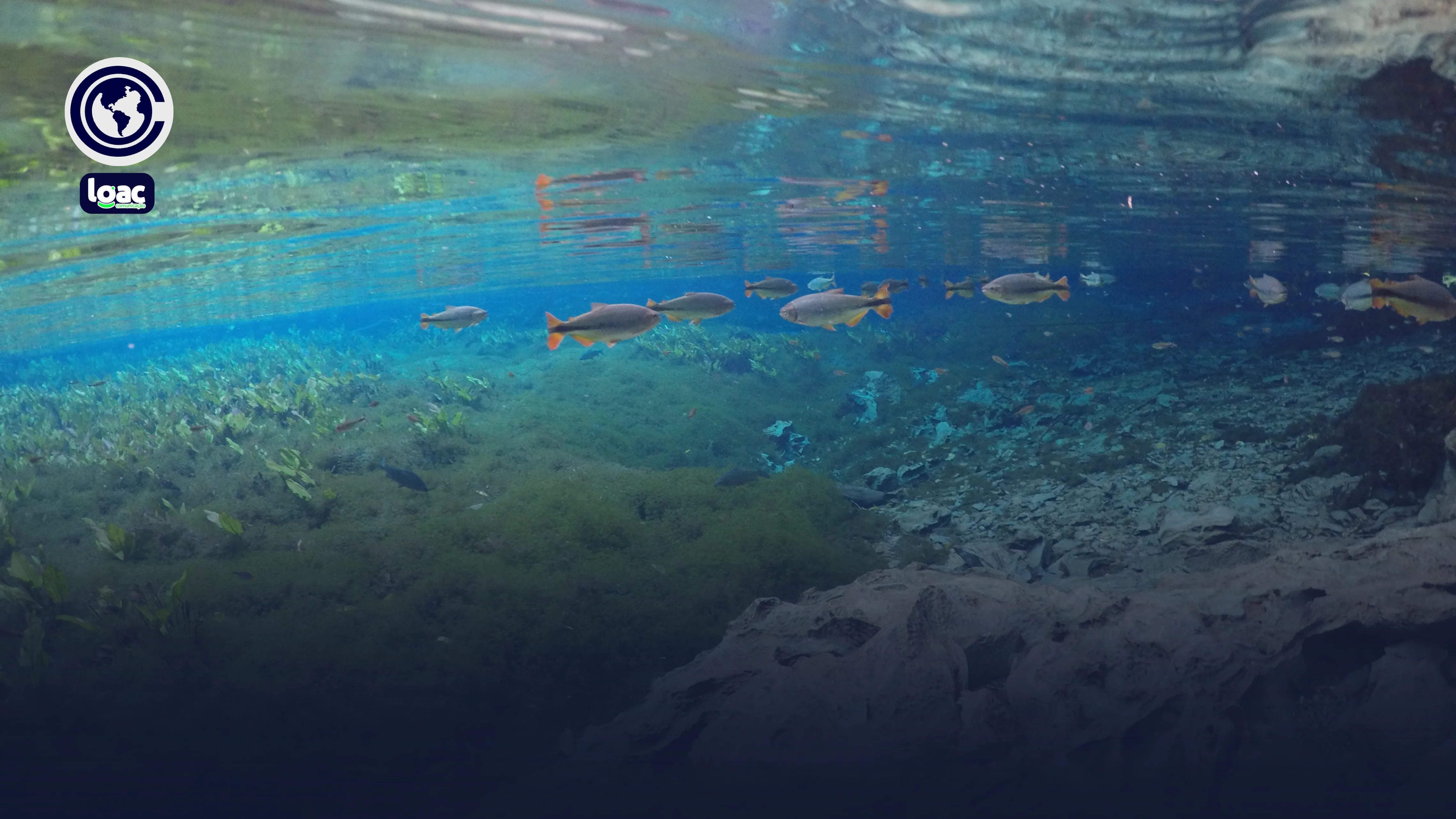 Bonito (MS): tudo que você precisa saber para sua viagem